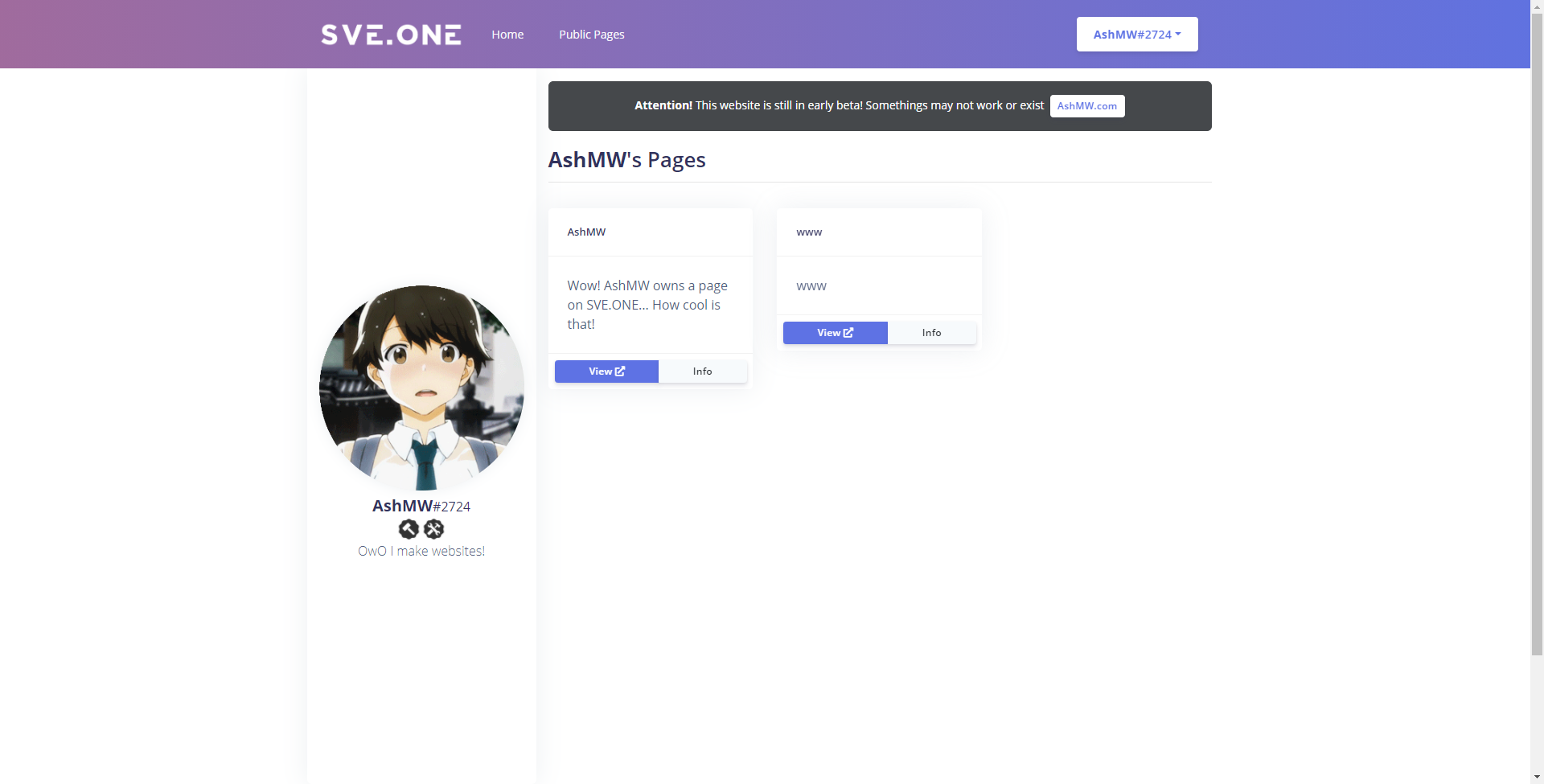 SVE.ONE Profile Page (Desktop View)